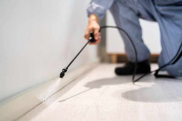 Bed Bug Pre-Treatment Preparation Assessment in Gainesville