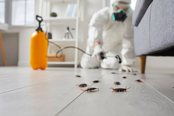 Post-Treatment Bed Bug Interceptor Monitoring in Gainesville