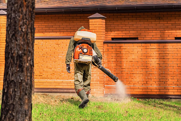 Bed Bug Clearance Verification and Documentation in Gainesville